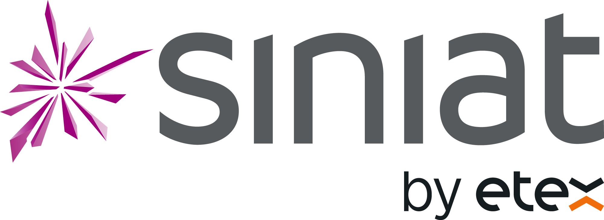 Logo Siniat
